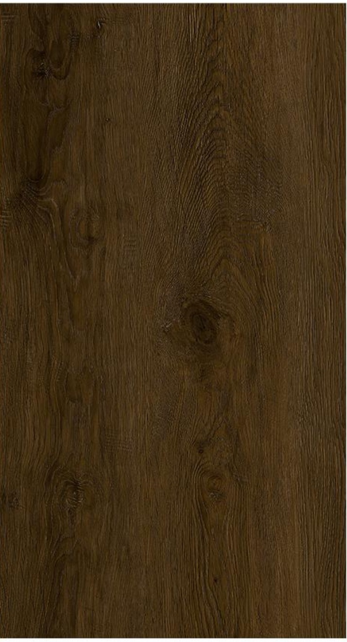 SP7107 Tolles image 4