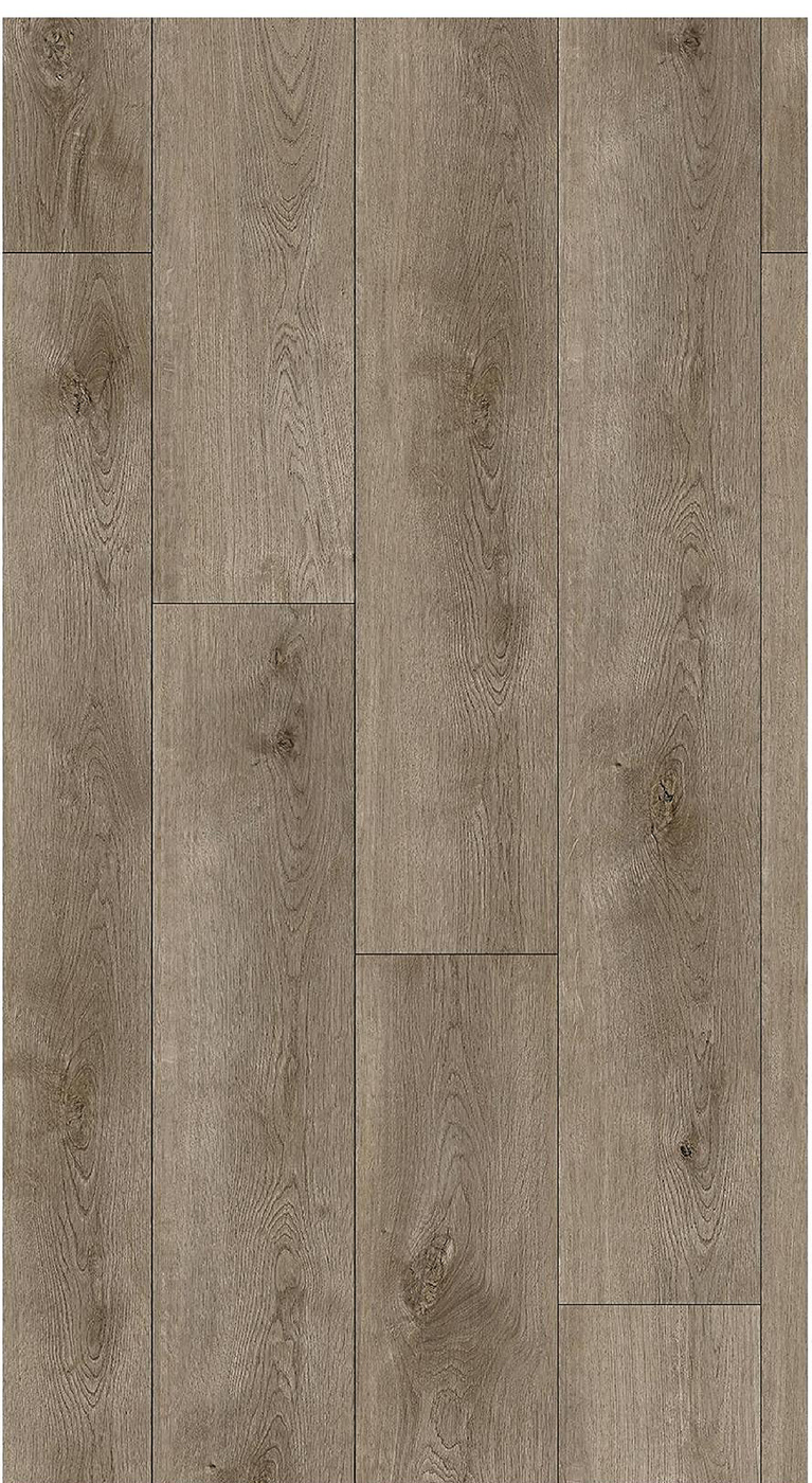 SP8027 Emery Oak image 4