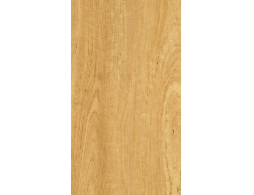 SP8046 Canada Maple image 3